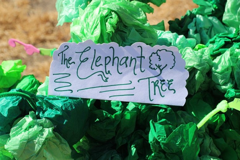 elephant tree